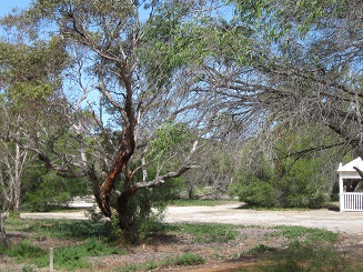 nature campground quaalup Homestead